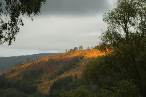 View of Glen Affric from Eagle Brae Stock Photos