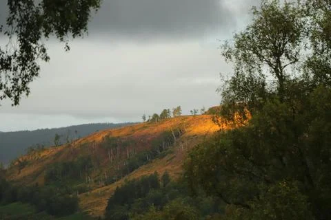 View of Glen Affric from Eagle Brae Stock Photos