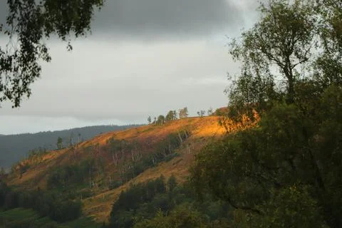 View of Glen Affric from Eagle Brae Stock Photos