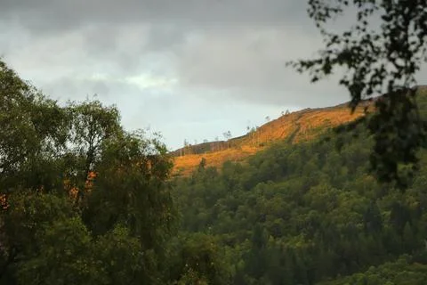 View of Glen Affric from Eagle Brae Stock Photos
