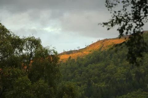 View of Glen Affric from Eagle Brae Stock Photos