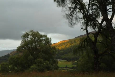 View of Glen Affric from Eagle Brae Stock Photos