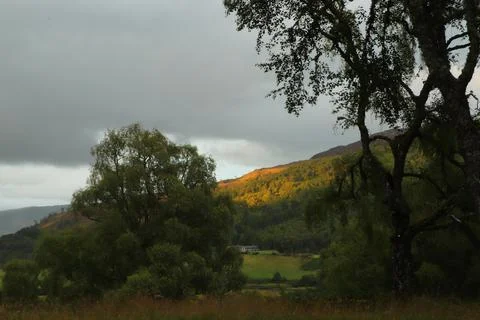 View of Glen Affric from Eagle Brae Stock Photos