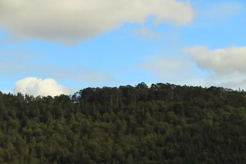 View of Glen Affric from Eagle Brae Foto stock