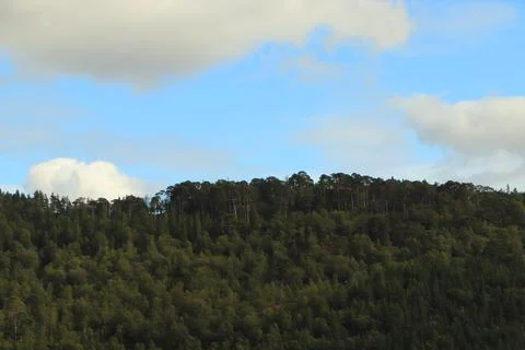 View of Glen Affric from Eagle Brae Stock Photos