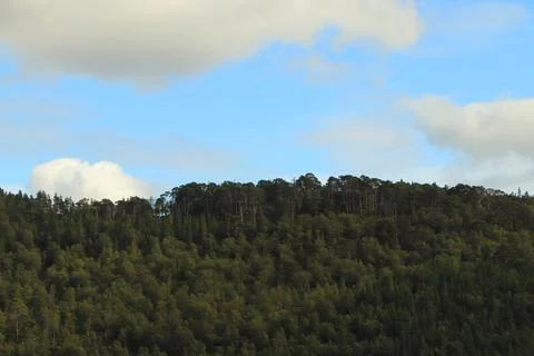 View of Glen Affric from Eagle Brae Stock Photos
