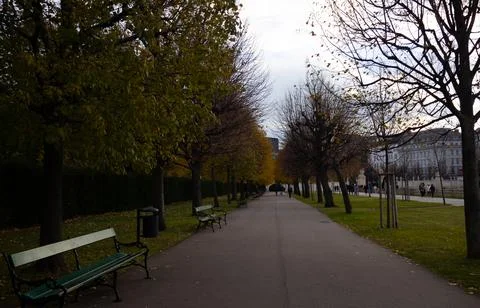 A view of a gloomy autumn park road Stock Photos