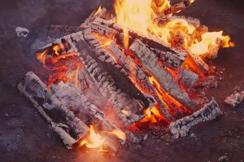 View of glowing fire trees. Foto stock