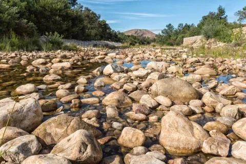 View of Gobos riverbed at Greyton Stock Photos