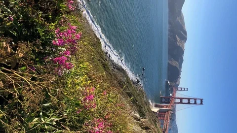 View of Golden Gate from Baker Beach in San Francisco. Vertical Stock Footage 124744946