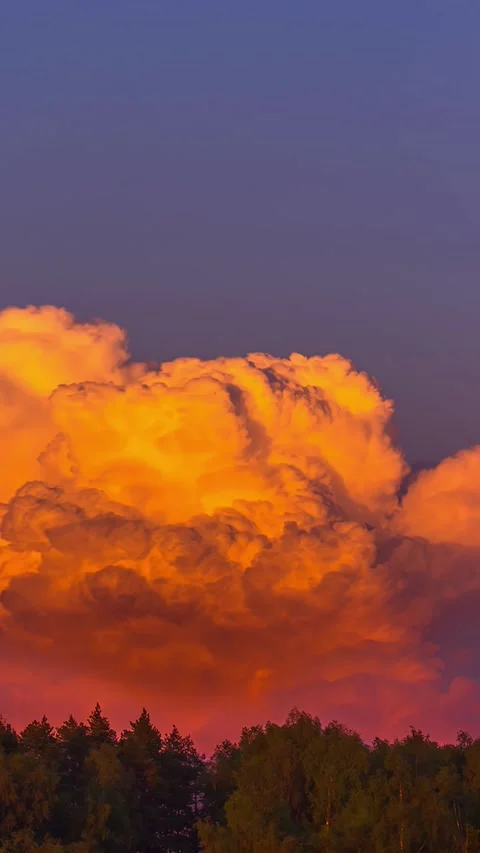 View of golden hour clouds over the forest in Latvia. Stockbeeldmateriaal 340643110