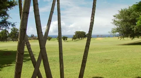 View of golf carts on course Video stock 54592518