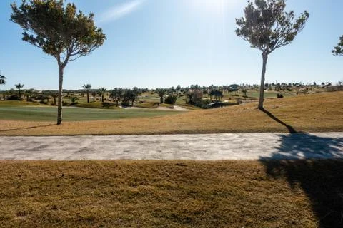 A view of a golf course between two tall trees and a golf cart path in the fo 스톡 사진
