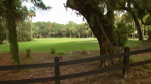 View of golf course Video stock 54592911