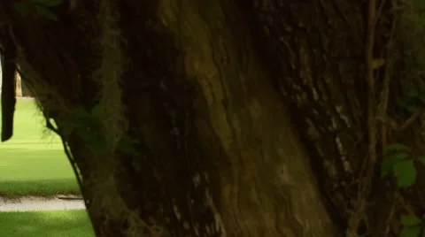 View of golf course Video stock 54592914