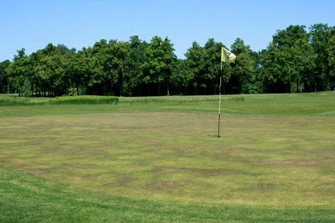 View of golf course 库存照片