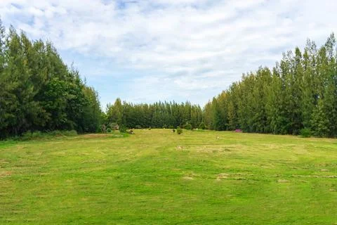 View of the golf driving range with grassy slopes and distance signs with a.. Stock-Fotos