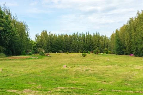 View of the golf driving range with grassy slopes and distance signs with a.. 스톡 사진