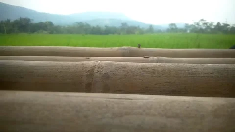 The view good for relaxing Stock Footage 169455112