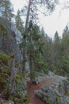 View of gorge. Stock Photos