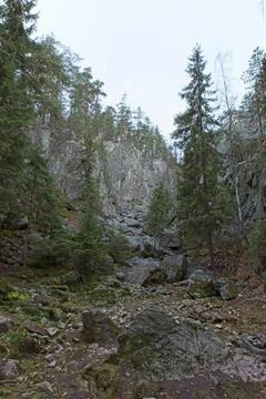 View of gorge. Stock Photos