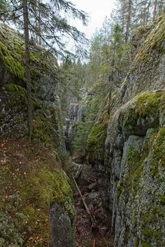 View of gorge. Stock Photos