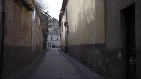 View of the gothic cathedral of Zamora in the background of an alley in Spain Stock Footage 71318786