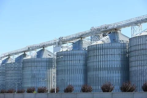 View of grain elevator against blue sky on sunny day. Cereal farming Fotos de archivo