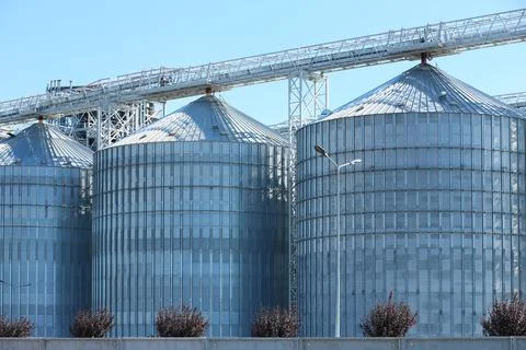 View of grain elevator against blue sky on sunny day. Cereal farming Foto stock