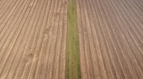 View of a grain field and fields of various vegetation near Kyjov, South Mora Stock Photos