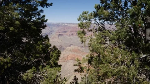 View of the Grand Canyon through leafy trees Stock Footage 89831158