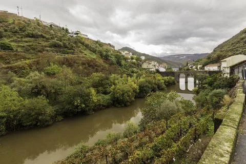 View of grapevines in Douro Valley wineries in Portugal Stock Photos
