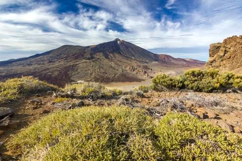 View on grass and rocks with teide volcano on background Stock Photos
