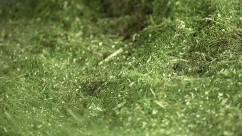 View of grass falling after being milled Stock Footage 263698036