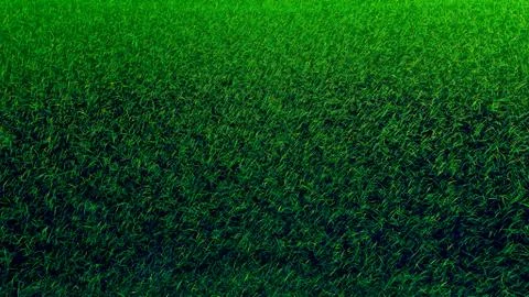 View On Grass Stock Photos