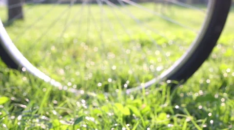 View from the grass of a windy day at the park through gears Stock-Footage 55667433