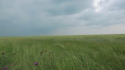 View of grassland Stock Footage 48768507