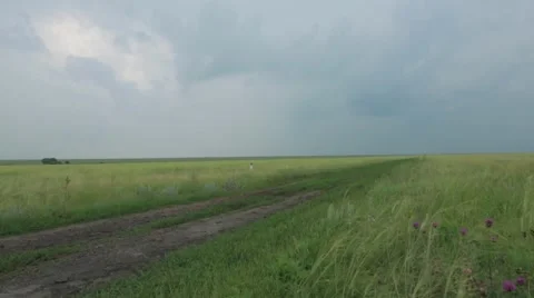 View of grassland Stock Footage 48768543
