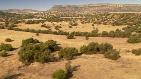 View of grassland at ranch Stock Footage 54590634