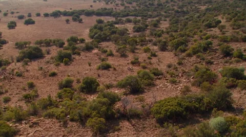View of grassland of ranch Stock Footage 54590995