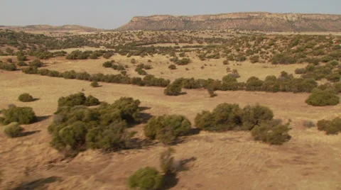 View of grassland of ranch Stock Footage 54591002
