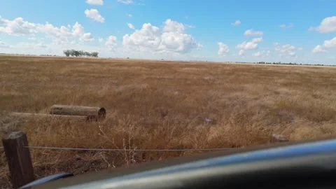 View of grassland while driving in a car Stock Footage 321316972