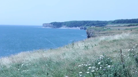 View of a Grassy Clifftop Stock-Footage 91897983