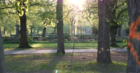View on a graveyard Stock Footage 130381256