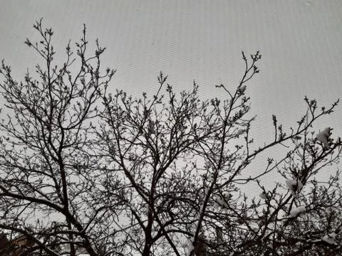 A view into the gray sky Stock Photos