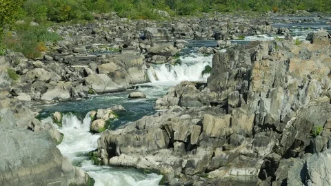 View at Great Falls of Potomac river 스톡 동영상 81988489