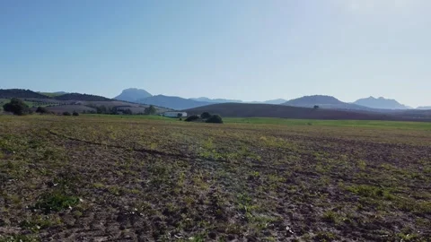 View of a great field with mountains in the background. aerial view, drone .. Stock Footage 303773512