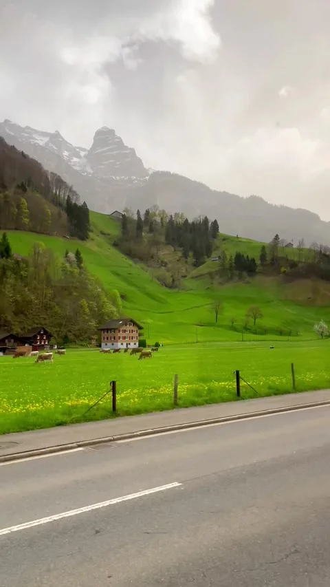 View of green and yellow meadows and grass flowers Natural road in Switzerland 動画素材 271626151