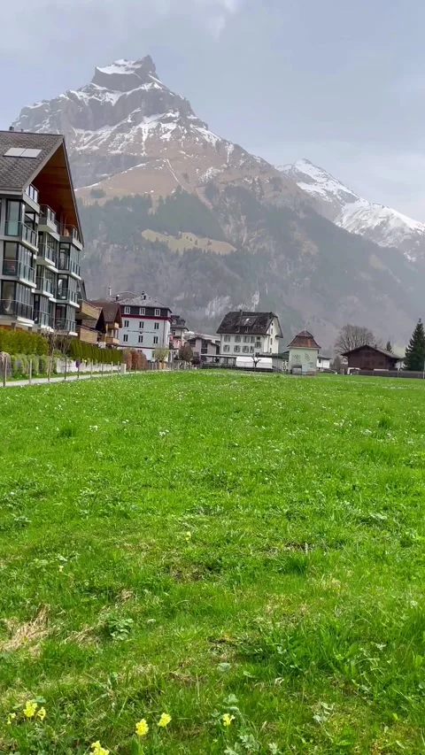 View of green and yellow meadows and grass flowers Natural road in Switzerland 動画素材 276155508