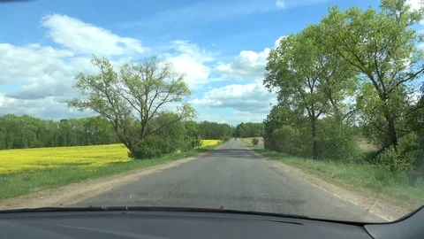 View of green and yellow (rape) fields from the car riding Stock Footage 85528818